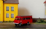 robur (1).jpg