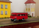 robur (6).jpg