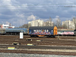 IMG_0504.jpeg