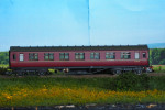P80828575aa.jpg