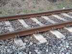 20241004_174506m.jpg