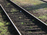 IMG_9416m.JPG