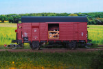 PB1930044a.jpg