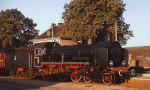 IMG_5165.jpeg