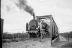 aa 0007.jpg