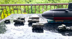 IMG-20250519-WA0011.jpg