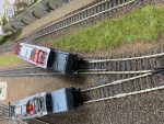IMG_3362.jpeg